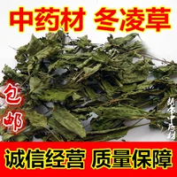 Китайские лекарственные материалы Новые товары донглинг чайный донг