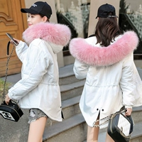 Chống mùa bông quần áo nữ 2018 mới dày áo mùa đông bánh mì dịch vụ Hàn Quốc phiên bản của sang trọng ngắn ins bông áo khoác bông áo khoác áo phao nữ dáng dài 2020