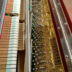 Piano Harmany H-123GXF8 British Harmony Harmony Piano [chỉ bán ở Quảng Tây] - dương cầm piano điện dương cầm