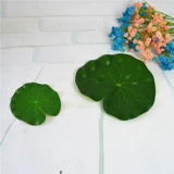 Колготки, цветок лотоса, шлем, трубчатый манжет, «сделай сам», лягушка