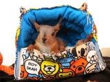 Продукты белки, мой сосед Totoro Squirrels Parrot Products Four Seasons General Midmoring Nest, лето, осень и зима Общая площадка