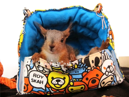 Продукты белки, мой сосед Totoro Squirrels Parrot Products Four Seasons General Midmoring Nest, лето, осень и зима Общая площадка