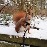 Бесплатная доставка INS Ultrafire Улучшенная эксклюзивная белка черная хвостовая тяговая мышевая веревка мыши может регулировать размер долговечного раскола