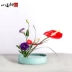 Hoa ban đầu nhỏ hoa Zen chậu hoa nhựa phòng khách trang trí hoa bình hoa chậu hoa giải phóng mặt bằng nữ - Vase / Bồn hoa & Kệ chậu đất Vase / Bồn hoa & Kệ
