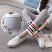 Quần áo mùa thu mới cộng với chất béo cỡ lớn MM béo phụ nữ mang thai Quần legging cotton mặc giản dị cho bà bầu dạ dày nâng quần 200 kg