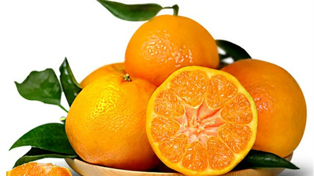 四川特级新鲜水果粑粑丑橘