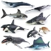 Mô phỏng động vật sinh vật biển mô hình cá voi sát thủ cá mập trắng lớn rùa cá heo báo cá voi cá voi bạch tuộc mực đồ chơi trẻ em nhận thức siêu nhân đồ chơi Khác