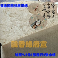 Longxiang Yuan и Ma jie Paper Half -жизнь каллиграфия каллиграфия Специальная живопись Практика пера