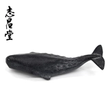 Япония импортировал железный кит Венчжэнь, старший в Вэньчжэнь Городской газет