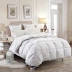 Duvet 95 trắng ngỗng xuống mùa đông là dày chăn ấm năm sao khách sạn là lõi giường đôi nguồn cung cấp khuyến mãi Quilts