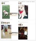 Шарф, чокер, нагрудник, слюнявчик