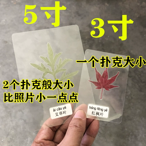 Школьный образец для раннего возраста, наклейки ручной работы, семейный стиль, в цветочек