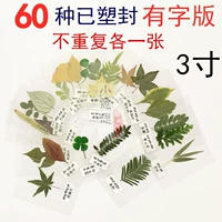 60 маленьких листьев (этикетки пластиковой ленты)