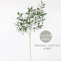 10 вилка с фруктовыми оливковыми ветвями