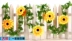 Mô phỏng hoa hướng dương mây giả hoa cây nho hoa nho nho điều hòa không khí bao gồm trong nhà trang trí phòng khách treo tường - Hoa nhân tạo / Cây / Trái cây Hoa nhân tạo / Cây / Trái cây
