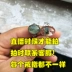 Green Ghost Red Ghost Ring Màu Ghost Ring Tóc Crystal Ring Tourmaline Amethyst Ring - Nhẫn nhẫn đồng tiền Nhẫn