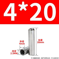 4x20-M2,5 (10)