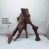 Товары от 欣苑水族