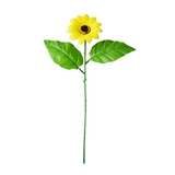 Цветочные стебли солнечные цветочные гвоздики, гидротомия, роза Diy Diy ручной работы цветочных материалов