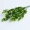 Mô phỏng tiền lá mô phỏng lá hoa bạch đàn lá giả cây xanh trang trí lá hoa cắm bó hoa với cỏ - Hoa nhân tạo / Cây / Trái cây