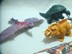 G3) Viên nang quái vật chính hãng Bandais Carmela GAMERA Carmela Gomela Godzilla - Capsule Đồ chơi / Búp bê / BJD / Đồ chơi binh sĩ 	mô hình hoạt hình 3d Capsule Đồ chơi / Búp bê / BJD / Đồ chơi binh sĩ