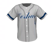 Trò chơi bóng chày đồng phục tùy chỉnh in logo đội ngũ dịch vụ bóng mềm quần áo nửa tay áo phù hợp với áo hiphop - Thể thao sau