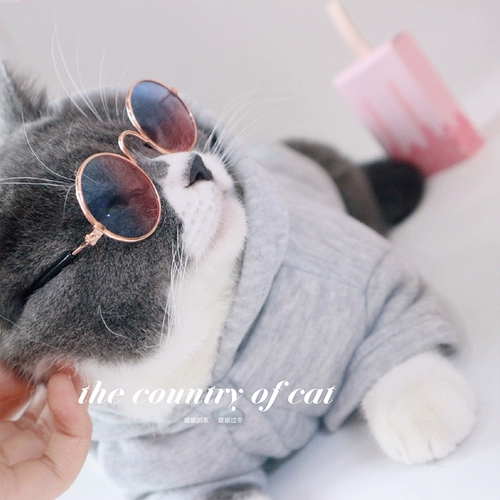 Осенняя и зимняя домашняя кошки и собаки теплая густая одежда, свитер, британский короткий, короткий синий и белый кот, продающий милый прилив бренд для девочки Сердце Бесплатная доставка