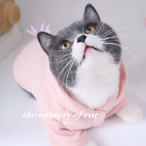 Осенняя и зимняя домашняя кошки и собаки теплая густая одежда, свитер, британский короткий, короткий синий и белый кот, продающий милый прилив бренд для девочки Сердце Бесплатная доставка