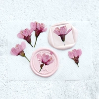 12 вишневых цветов на стороне