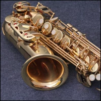 Музыкальный инструмент Zhongyin Saxophone Musical Instruction снижает первое школьное тест
