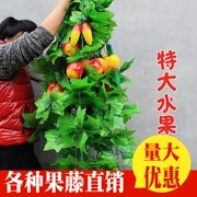 Mô phỏng cây mía khác nhau dưa và trái cây rau dây leo trang trí trung tâm mua sắm siêu thị cửa hàng trái cây trang trại hoa nho - Hoa nhân tạo / Cây / Trái cây