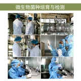 Ферментированные кровати бактерии Специальное размножение курица, утка, свинина, крупный рогатый скот, овцы, овца, змея -салфетки, ферментированный агент em бактерии