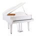 SPYKER UK Spyker Professional chơi piano tự động 152T chơi piano tự động grand grand piano điện - dương cầm đàn piano xịn	 dương cầm