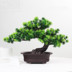 Cây mô phỏng chào đón cây thông nhỏ trong chậu bonsai trang trí nhà cây nhỏ nhựa giả hoa trang trí quà tặng sáng tạo - Hoa nhân tạo / Cây / Trái cây lan giả hạc đột biến Hoa nhân tạo / Cây / Trái cây