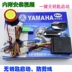 Yamaha xe máy báo động xe máy báo động chống trộm báo động chống cắt điều khiển từ xa bắt đầu Báo động chống trộm xe máy