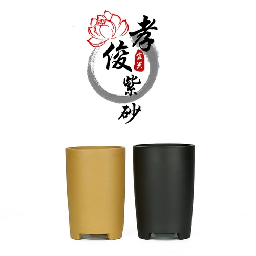 Цветочный горшок, орхидея, простой и элегантный дизайн