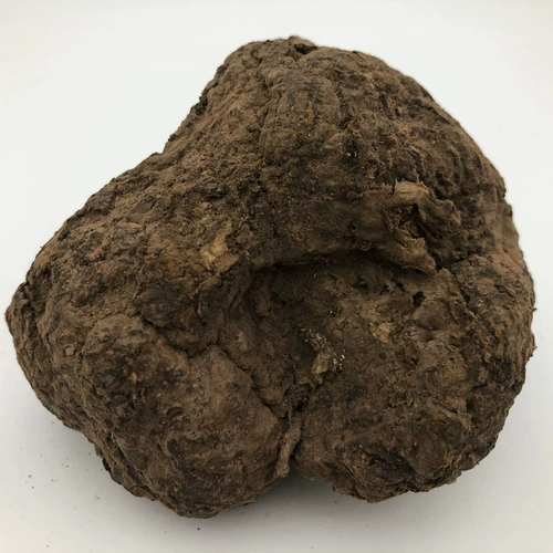 [Источник Баозхенг] Pure Changbai Mountain Wild Poria Dry Products 250 граммов могут быть вырезаны