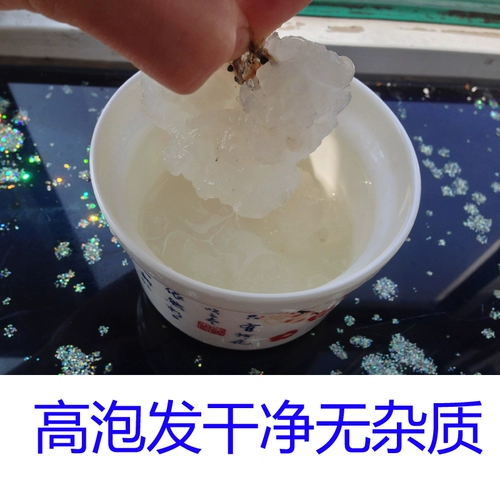 Снежный моллюско