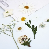 Белый набор материалов ручной работы, лампа для растений, образец, широкая цветовая палитра, в цветочек