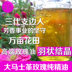 Tân Cương Damascus duy nhất tăng tinh dầu hương liệu hydrating chăm sóc da dầu single side tinh dầu hương liệu ★ sẽ kết tinh tinh dầu nho Tinh dầu điều trị