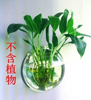 195mm, зеркальный эффект