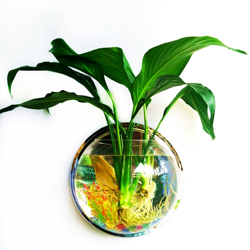Восемь -дюймовые рыбные аквариумы рыбака рыба Рыба Повышение цветочного золота аквариум подвеска небольшая аквариум