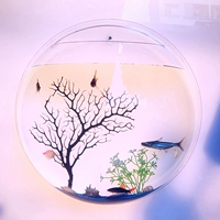 Раунд 490 мм прозрачная непобедимая модель