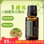 DoTERRA Dotray trang web chính thức thì là tinh dầu điều hòa dạ dày lá lách Fengjing ngực Mỹ tinh dầu chính hãng - Tinh dầu điều trị tinh dầu nghệ