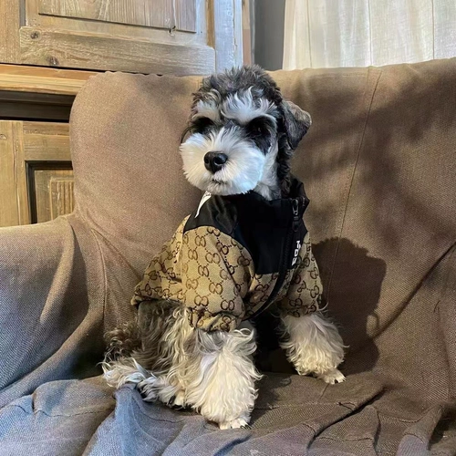 Осень и зимняя модная одежда