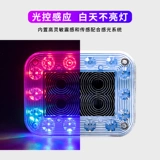 Автомобильное солнечное предупреждение о взрывах, анти -образные светодиоды грузовика.