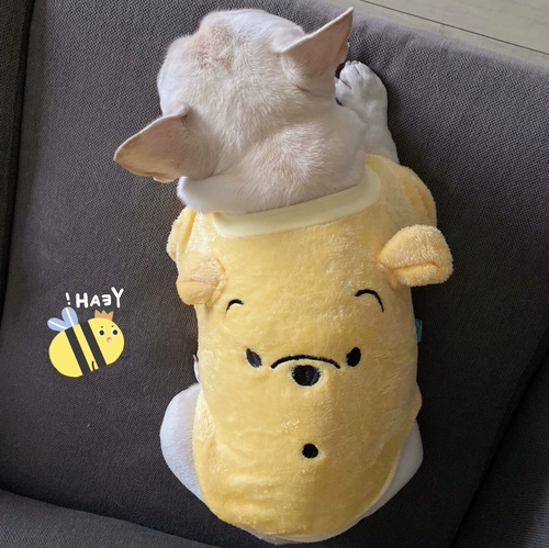 Утепленная толстовка, большой размер