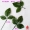 Hoa giả trang trí hoa mô phỏng hoa hồng 10 chiếc 1,5 nhân trang trí hoa nhựa hoa giả hoa lá giả cung cấp trực tiếp - Hoa nhân tạo / Cây / Trái cây lan giả hạc đột biến