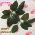 Hoa giả trang trí hoa mô phỏng hoa hồng 10 chiếc 1,5 nhân trang trí hoa nhựa hoa giả hoa lá giả cung cấp trực tiếp - Hoa nhân tạo / Cây / Trái cây lan giả hạc đột biến Hoa nhân tạo / Cây / Trái cây