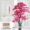 Cây mô phỏng Kerry trồng trong phòng khách trang trí hoa nhựa hạ cánh hoa giả cây đào trong nhà cây xanh mận bonsai - Hoa nhân tạo / Cây / Trái cây hoa giấy giả